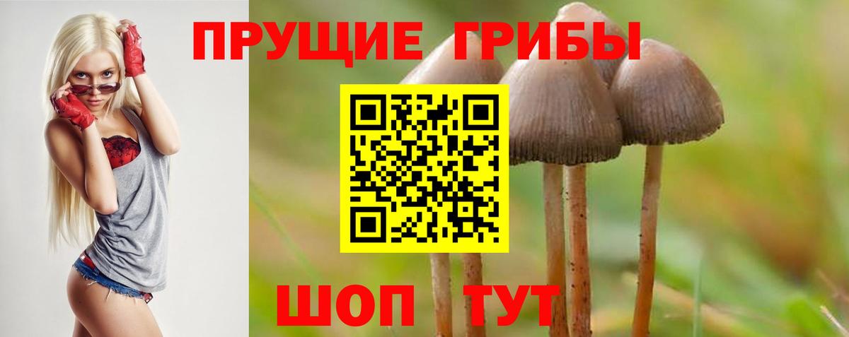 Псилоцибиновые грибы прущие грибы  Псилоцибиновые грибы прущие грибы  Каменск-Уральский  Вход с VPN 